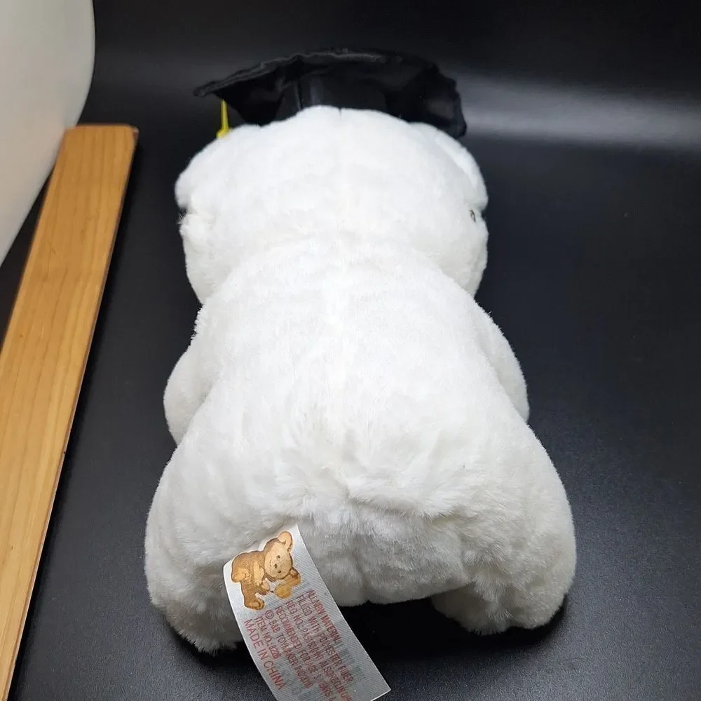 N/A graduation bear